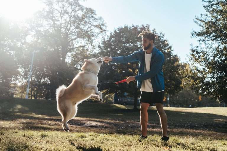 The Ultimate Guide to Regular Exercise for Dogs: Benefits and Tips for a Healthy, Happy Pet