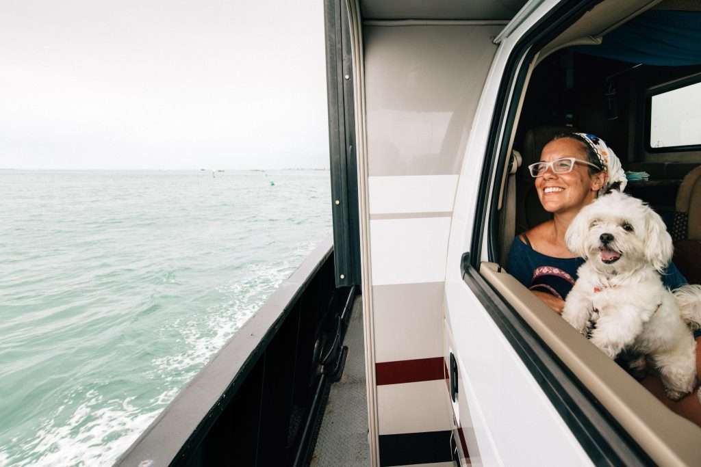 Image of a dog on a vacation