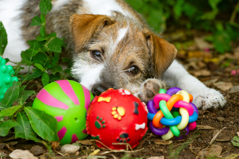 Tail-Wagging Tips: Selecting the Perfect Dog Toys for Every Age