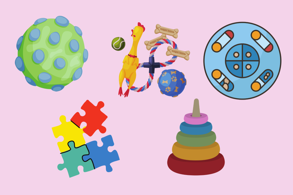 Image of different puzzle toys for dogs