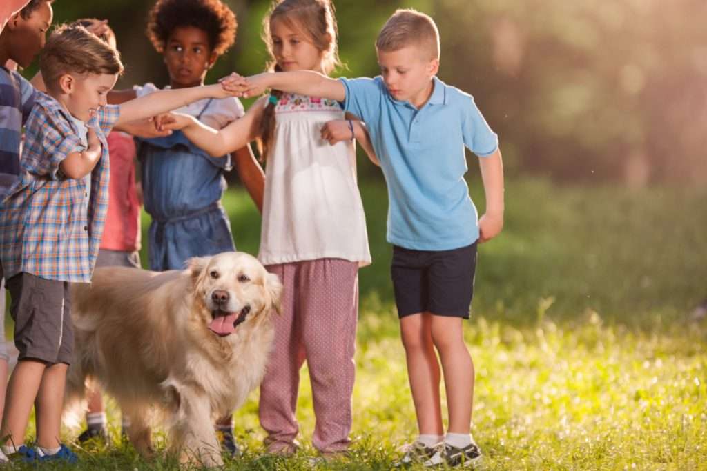 Image of children playing with golden retriever