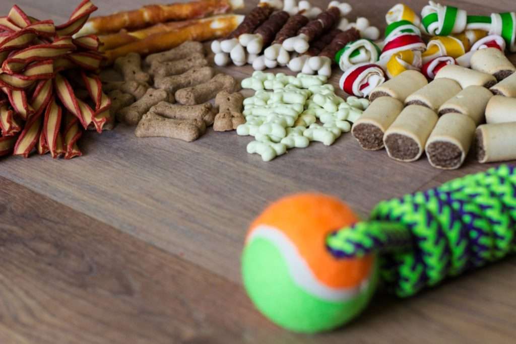 Image of different dog toys and treats