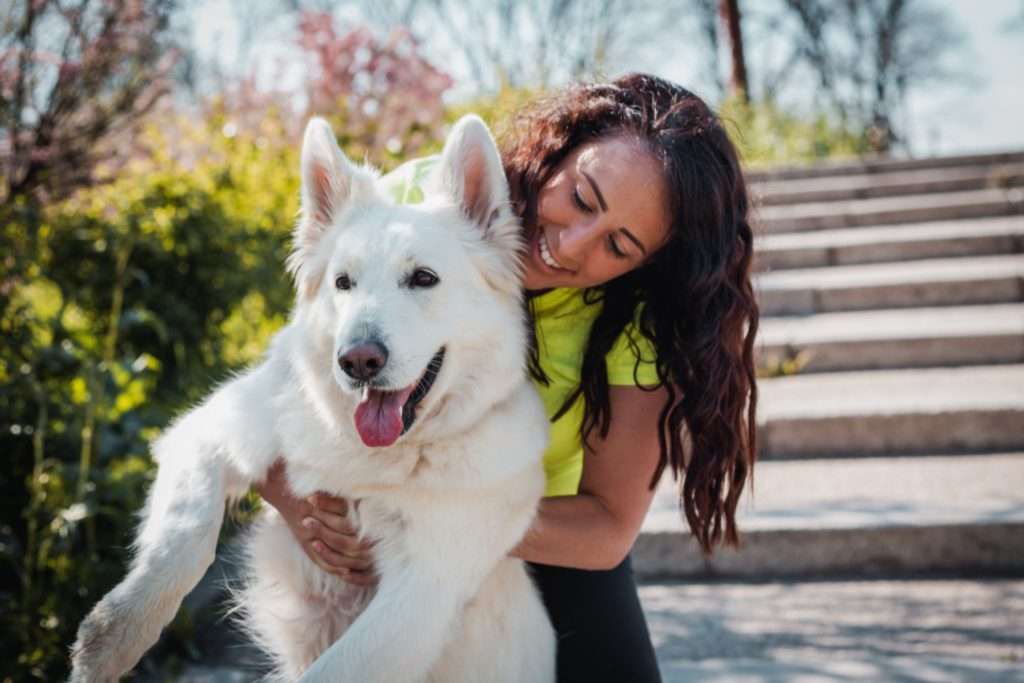 Image of dog and owner bonding