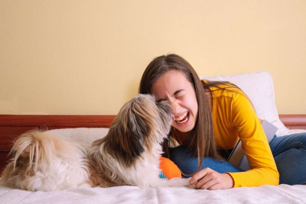 image of effective communication between human and dogs