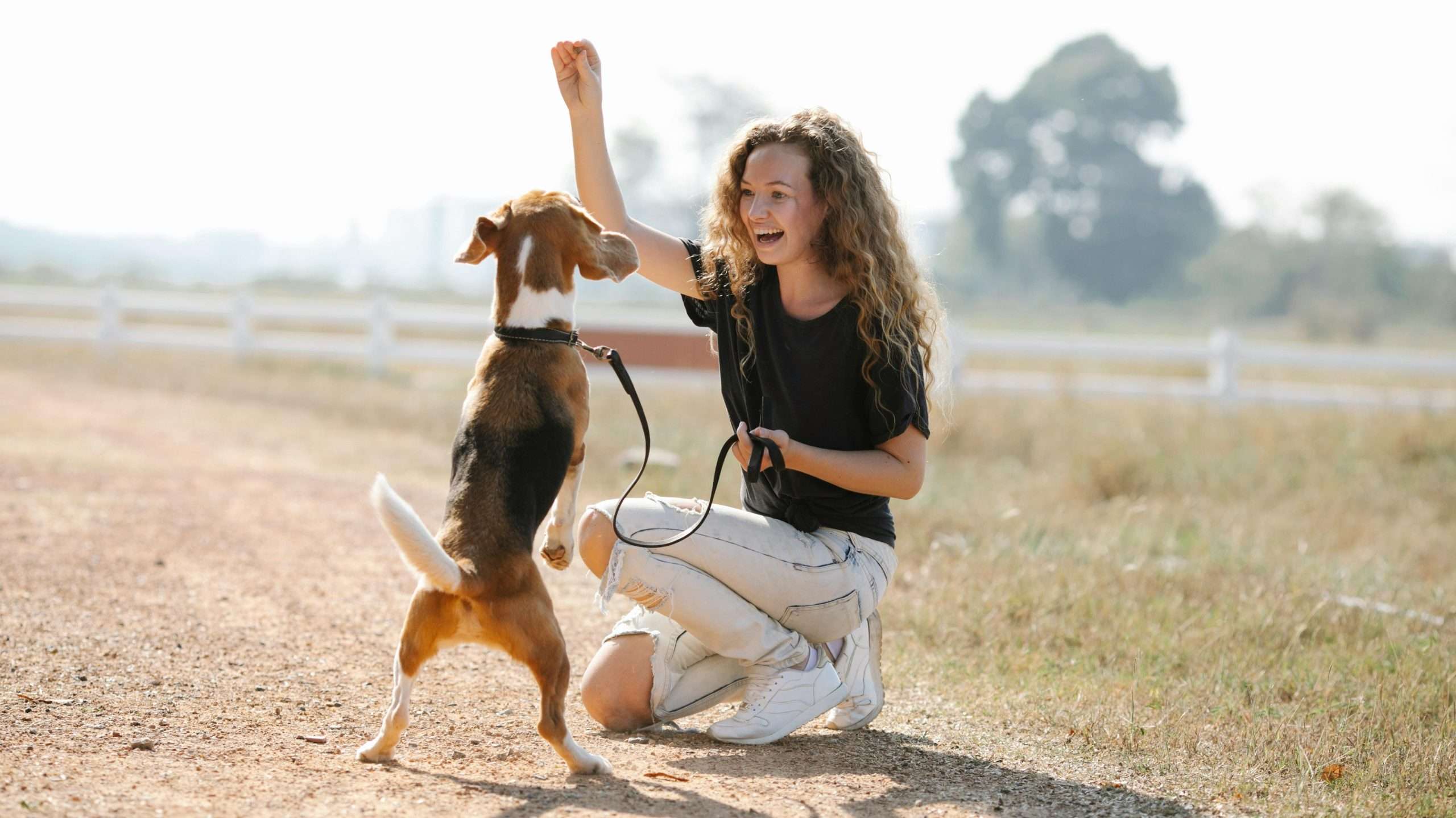 how to potty train your dog - Dog getting positive reinforcement