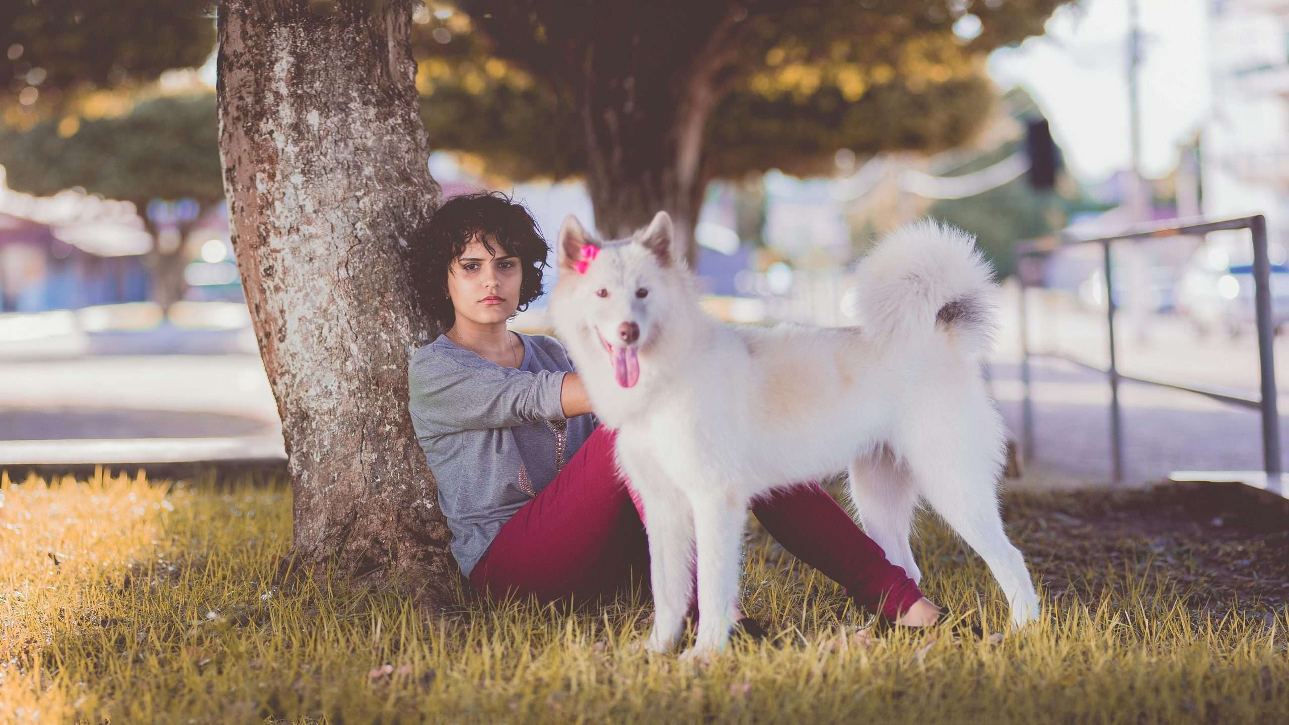 A picture of dog with owner under a tree