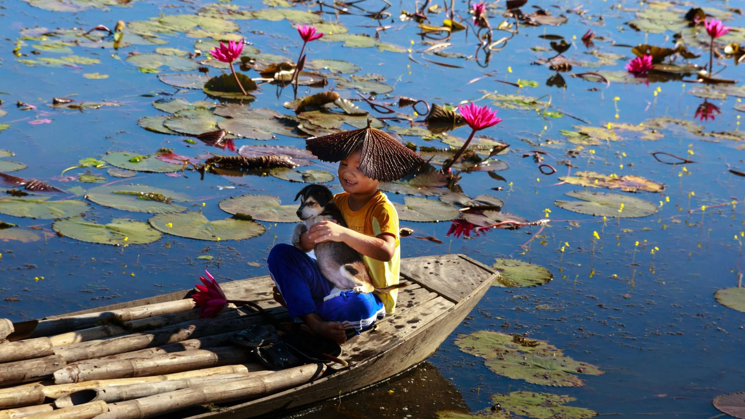 Picture of a dog with owner in a boat