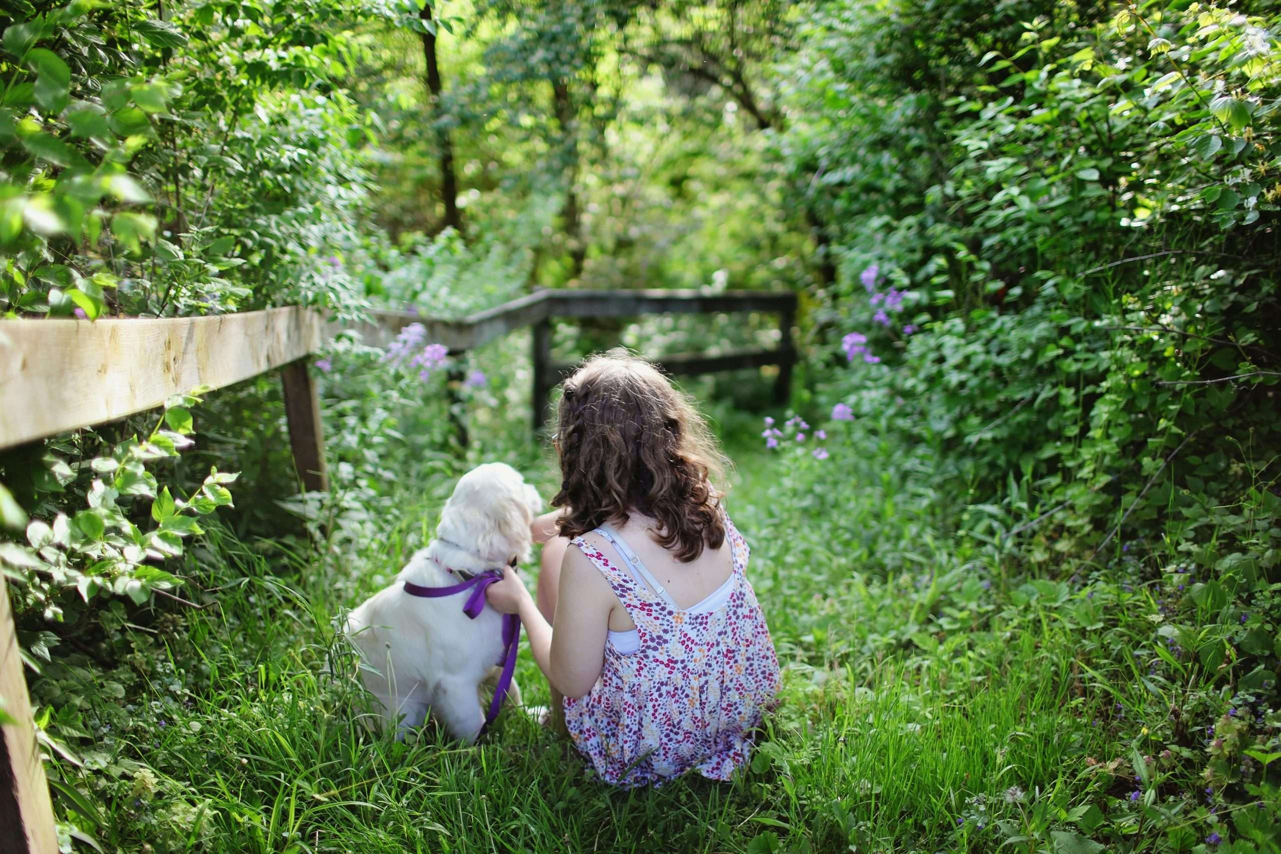 An image of a dog with owner in a photoshoot