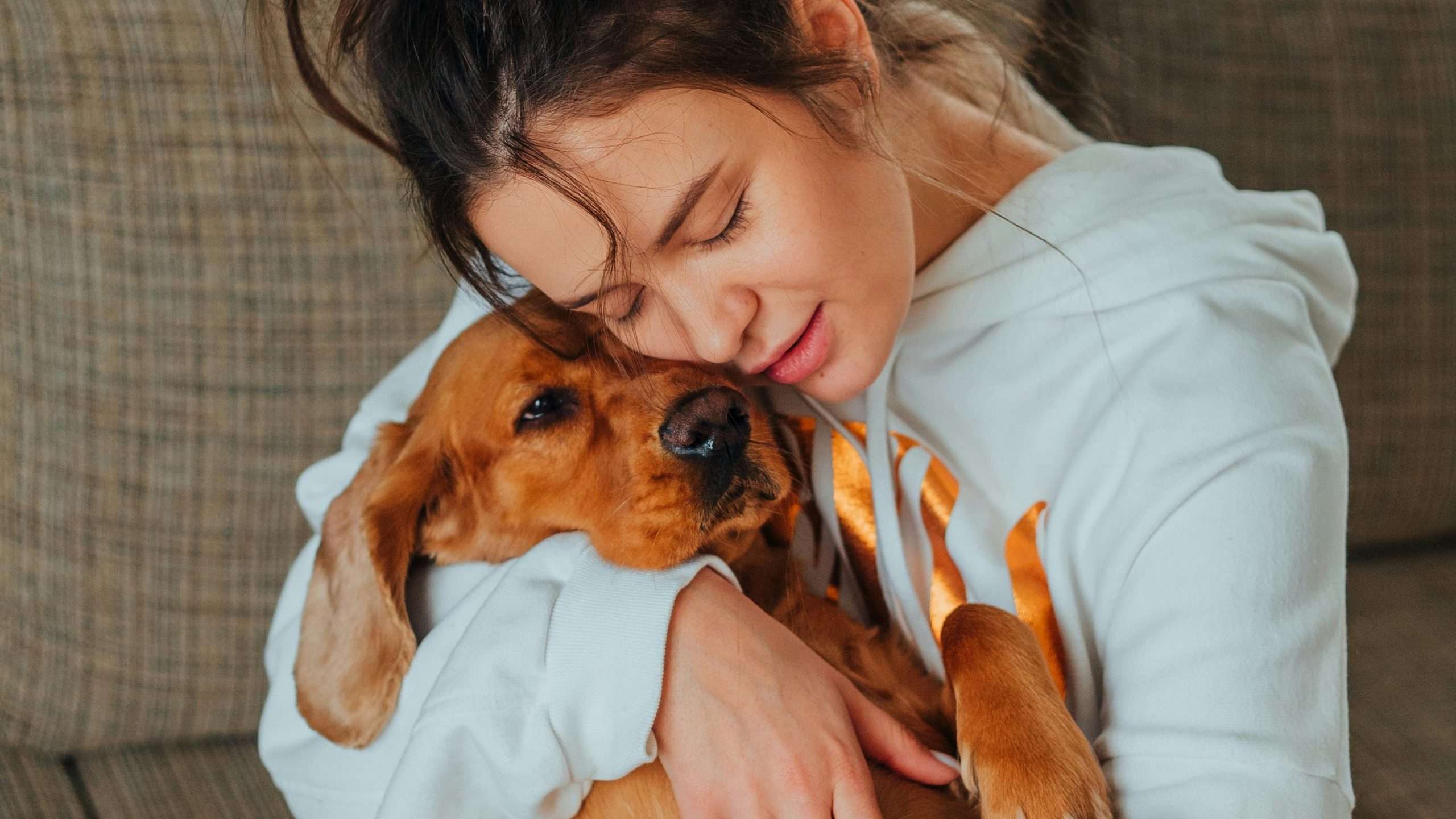 An image of dog snuggling - Dog photoshoot ideas