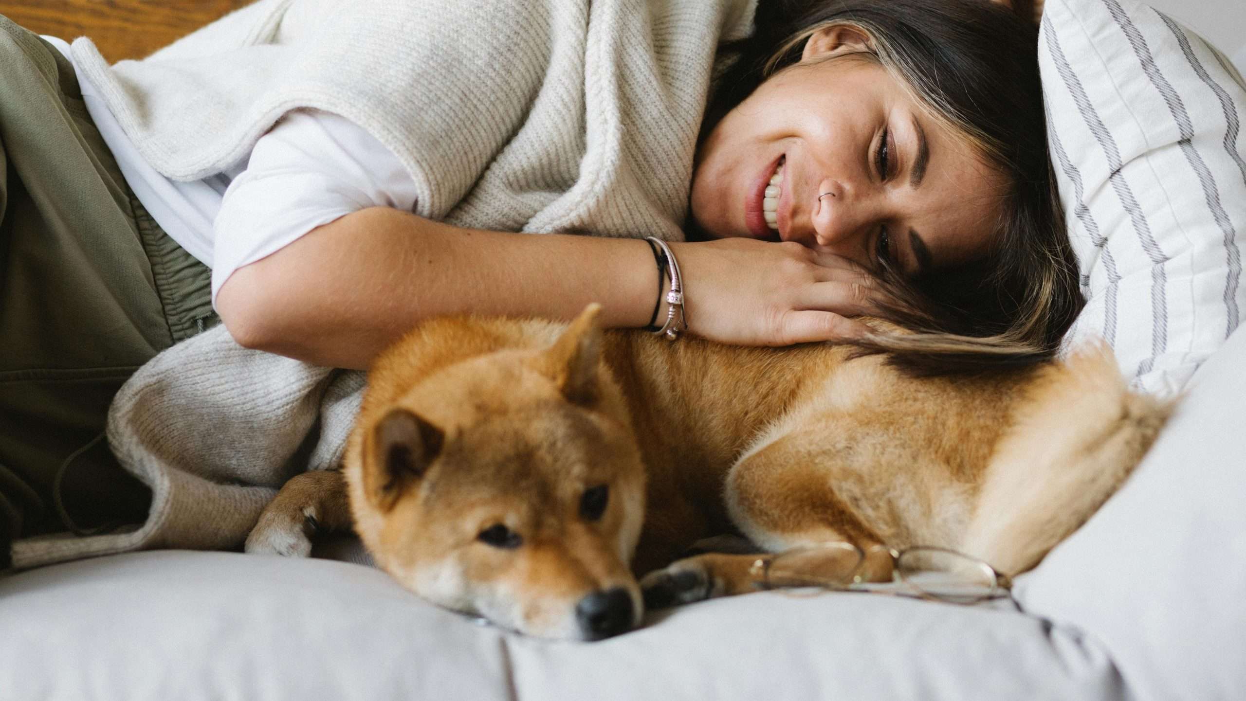 An image of a dog happily snuggling with owner