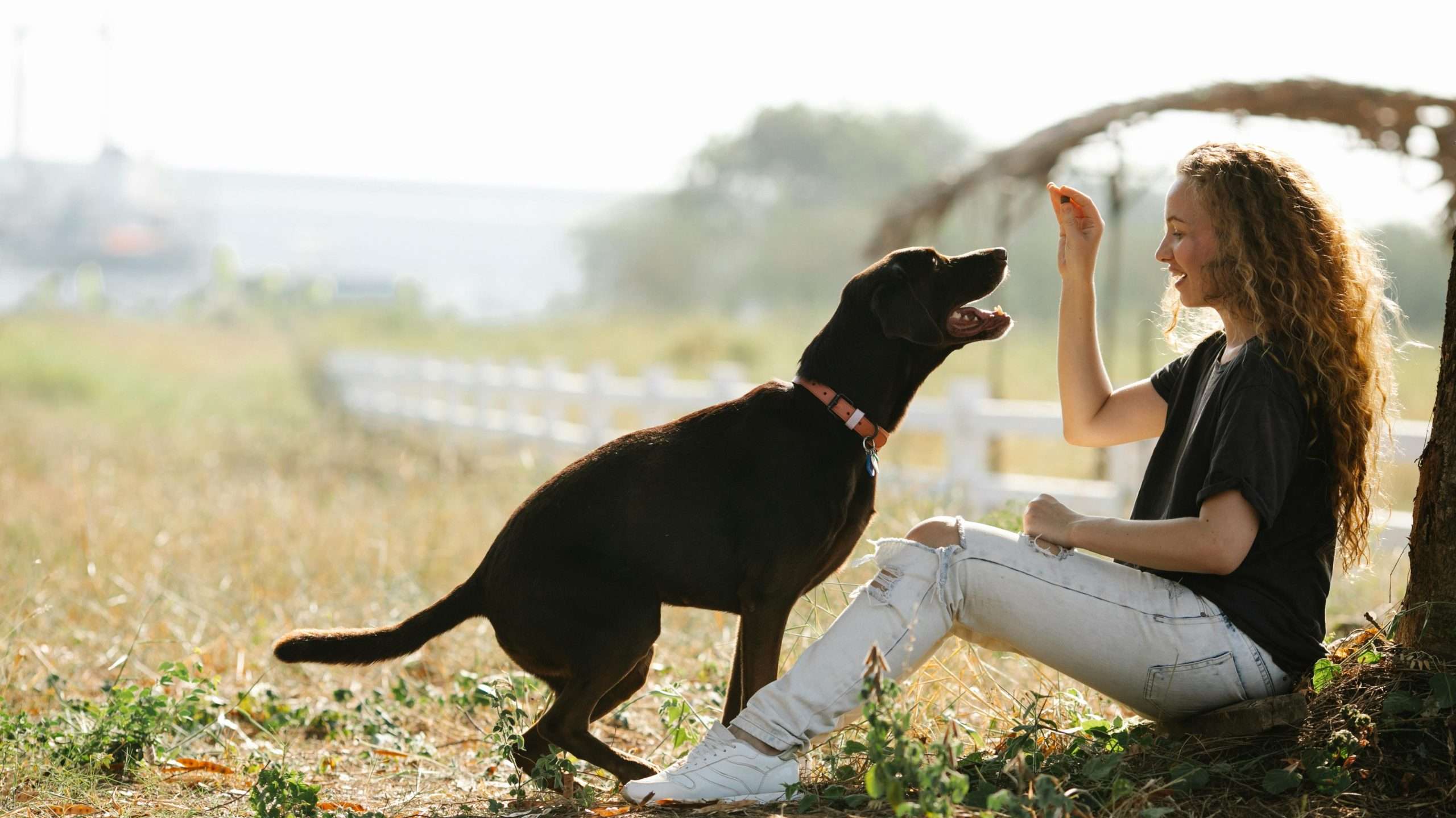 An image of a dog getting treats