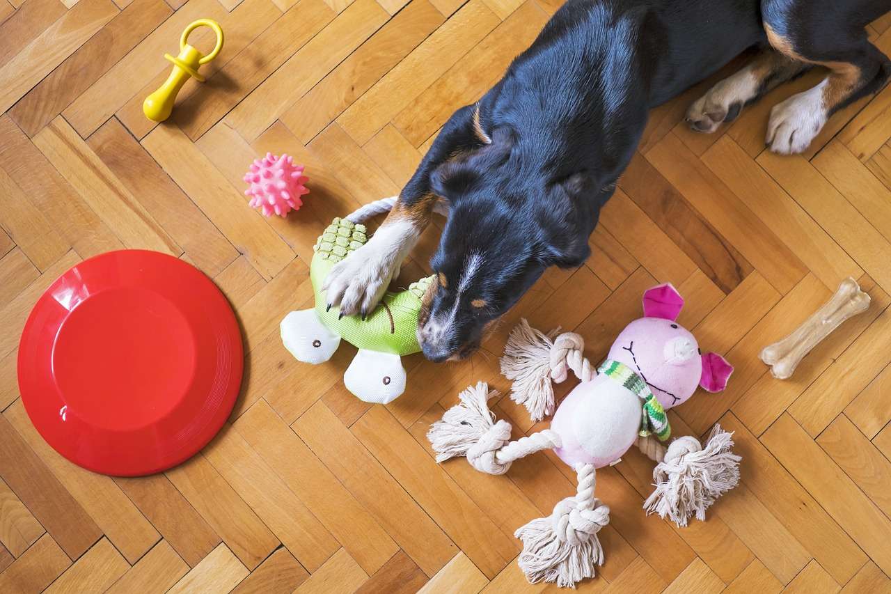 DIY dog toys