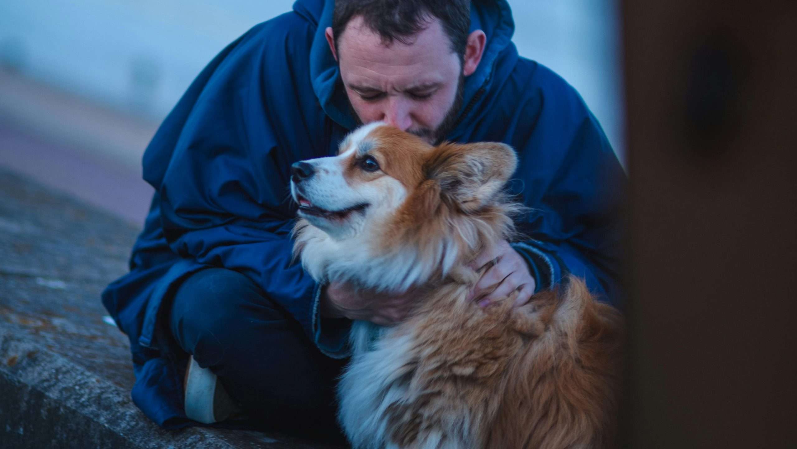 An image of a dog being kissed