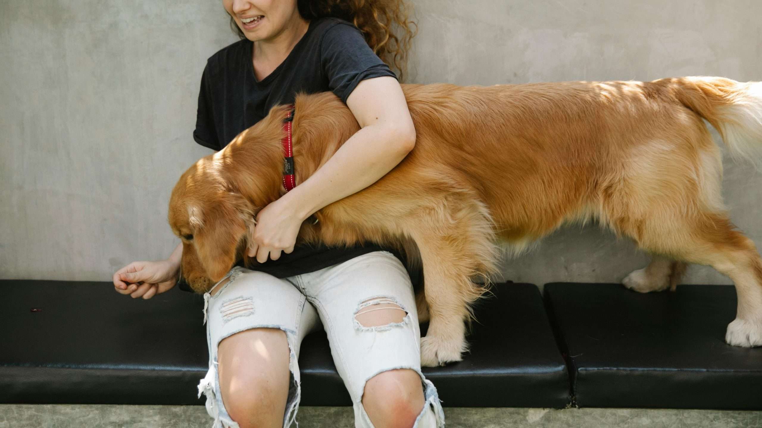 An image of a dog having a treat