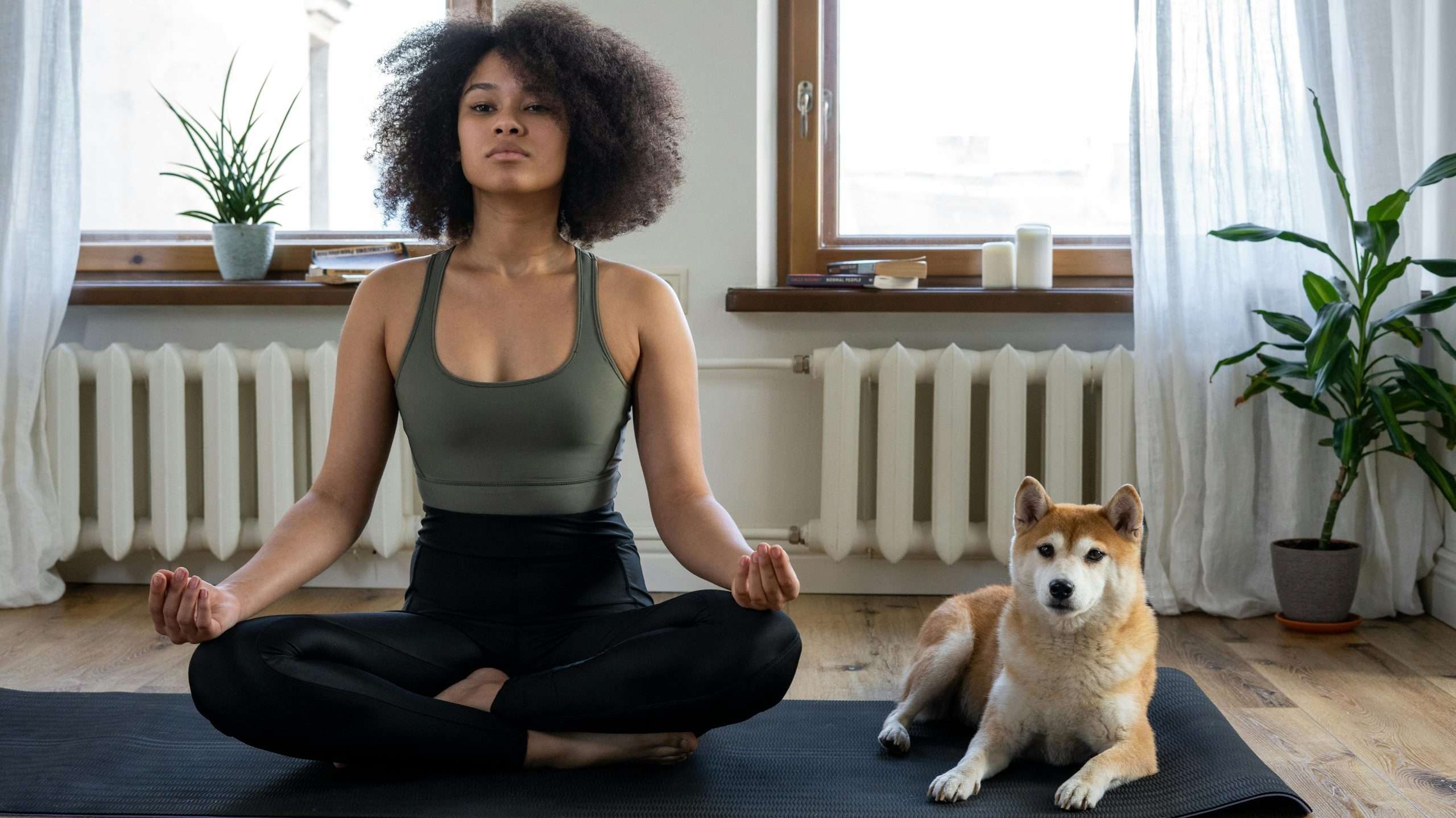 An image of a dog on a yoga mat