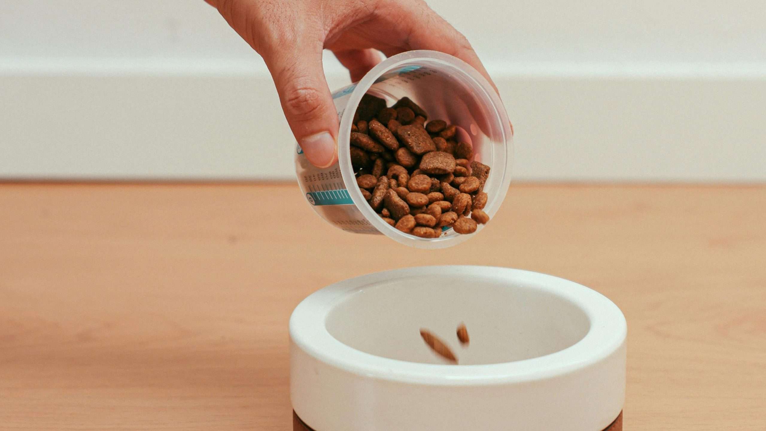 An image of dog food