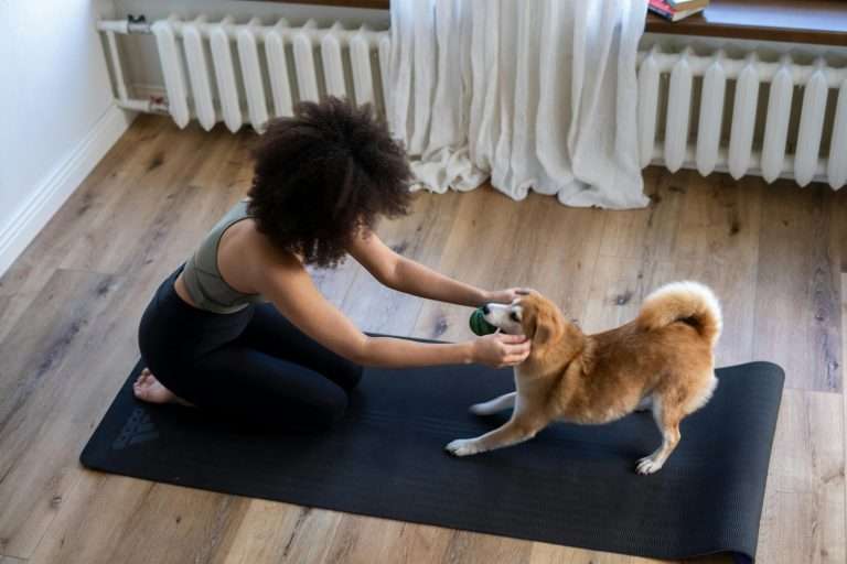 10 Indoor Exercises for Dogs During Bad Weather