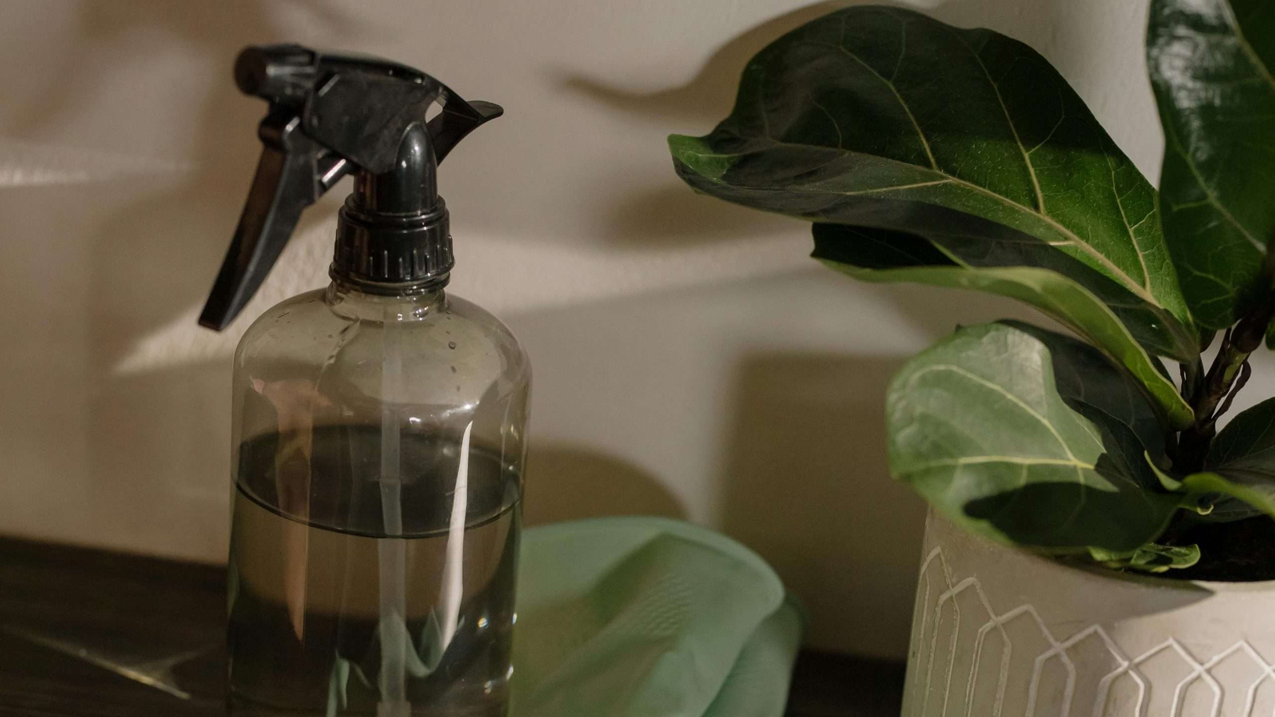 An image of a vinegar as a cleaner - get rid of dog smell