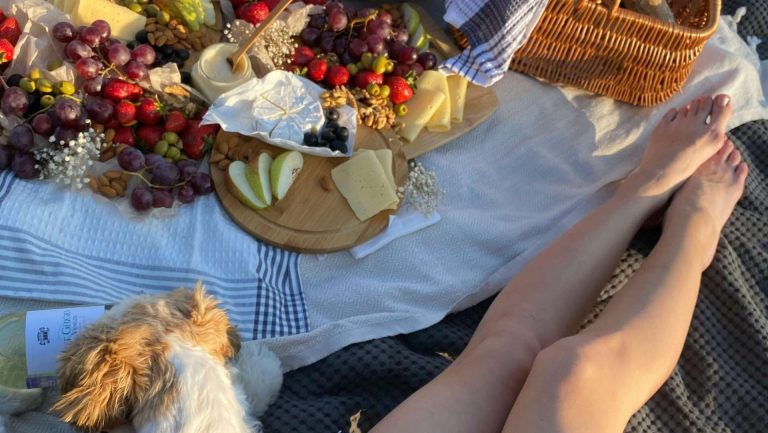 10 Fruits Dogs Can and Can’t Eat