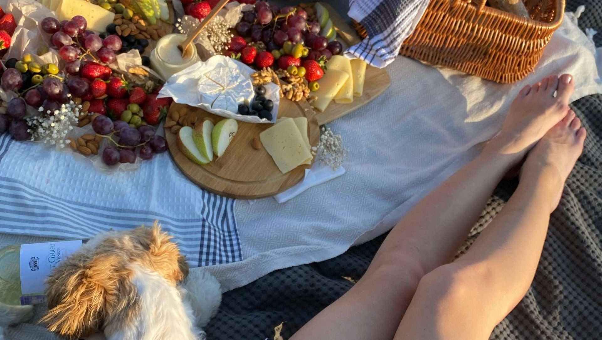 Fruits Dogs Can and Can't Eat