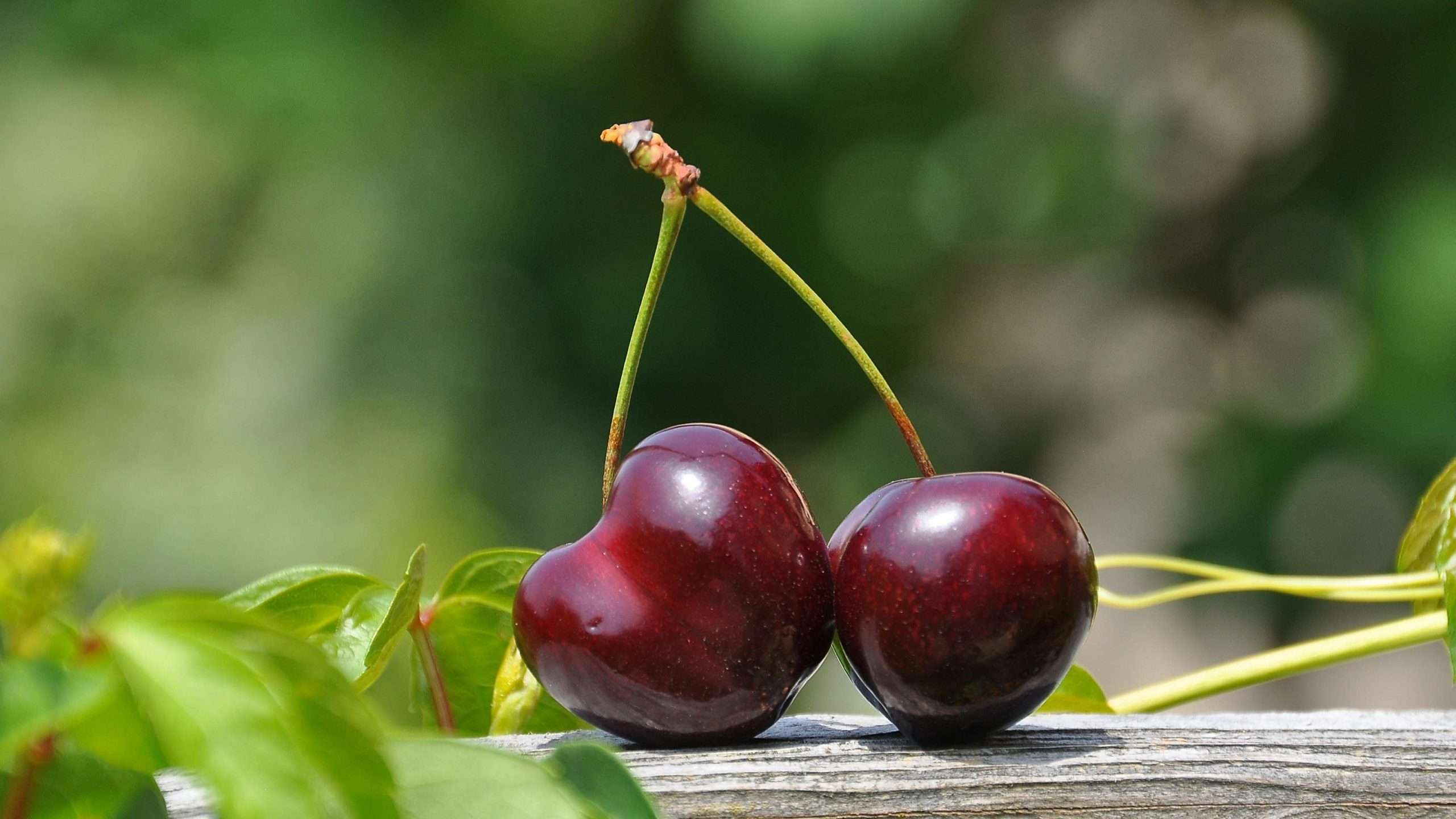 An image of cherries