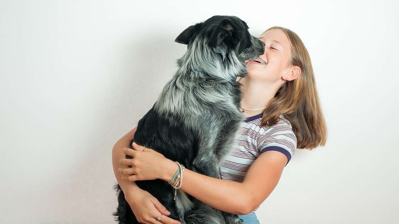 An image of a dog with owner