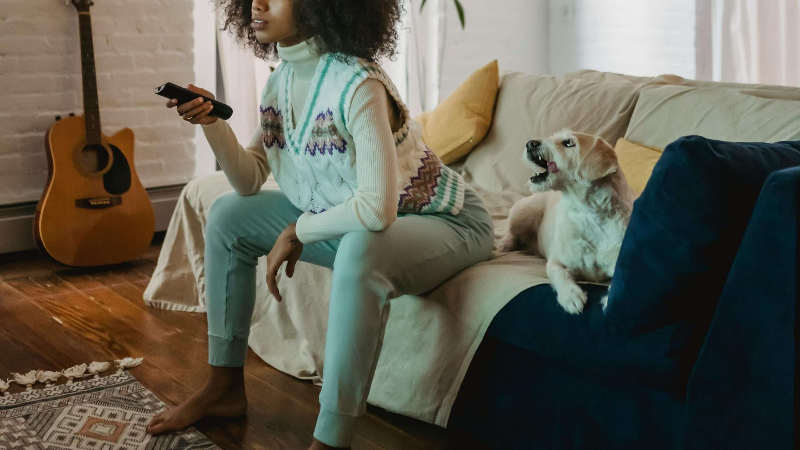An image of a dog watching TV - screen time for dogs
