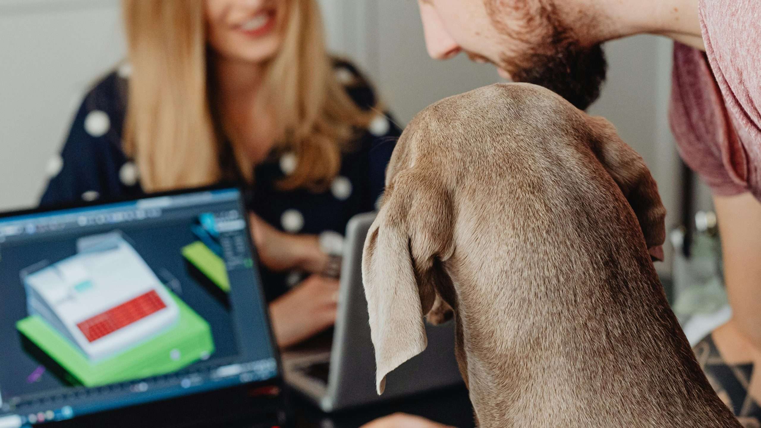 An image of a dog watching laptop - screen time for dogs