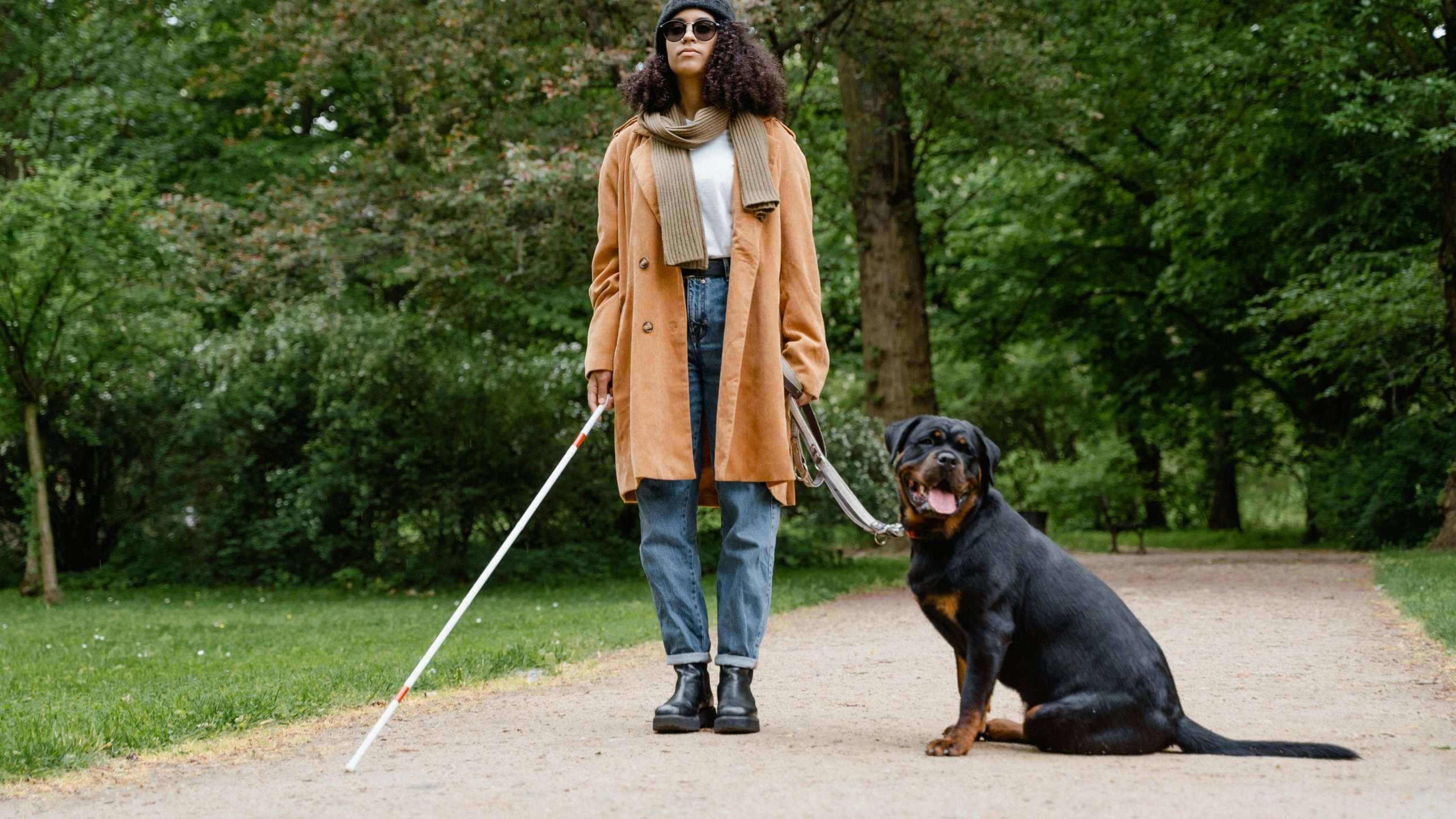 An image of a dog with its owner (on a walk) - why are dogs so loyal
