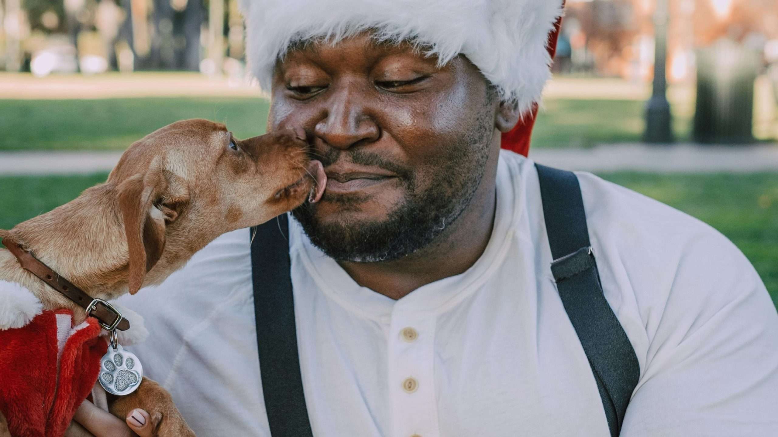 An image of a dog kissing