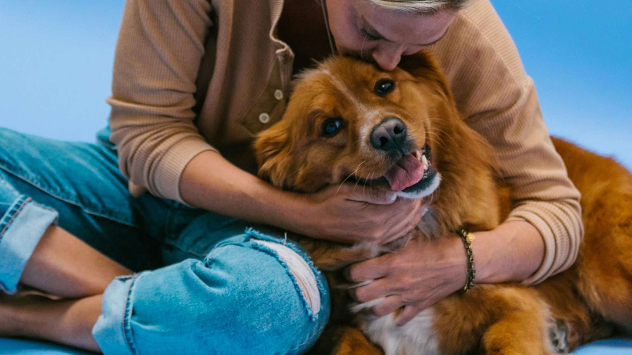 An image of a dog being affectionate with its owner