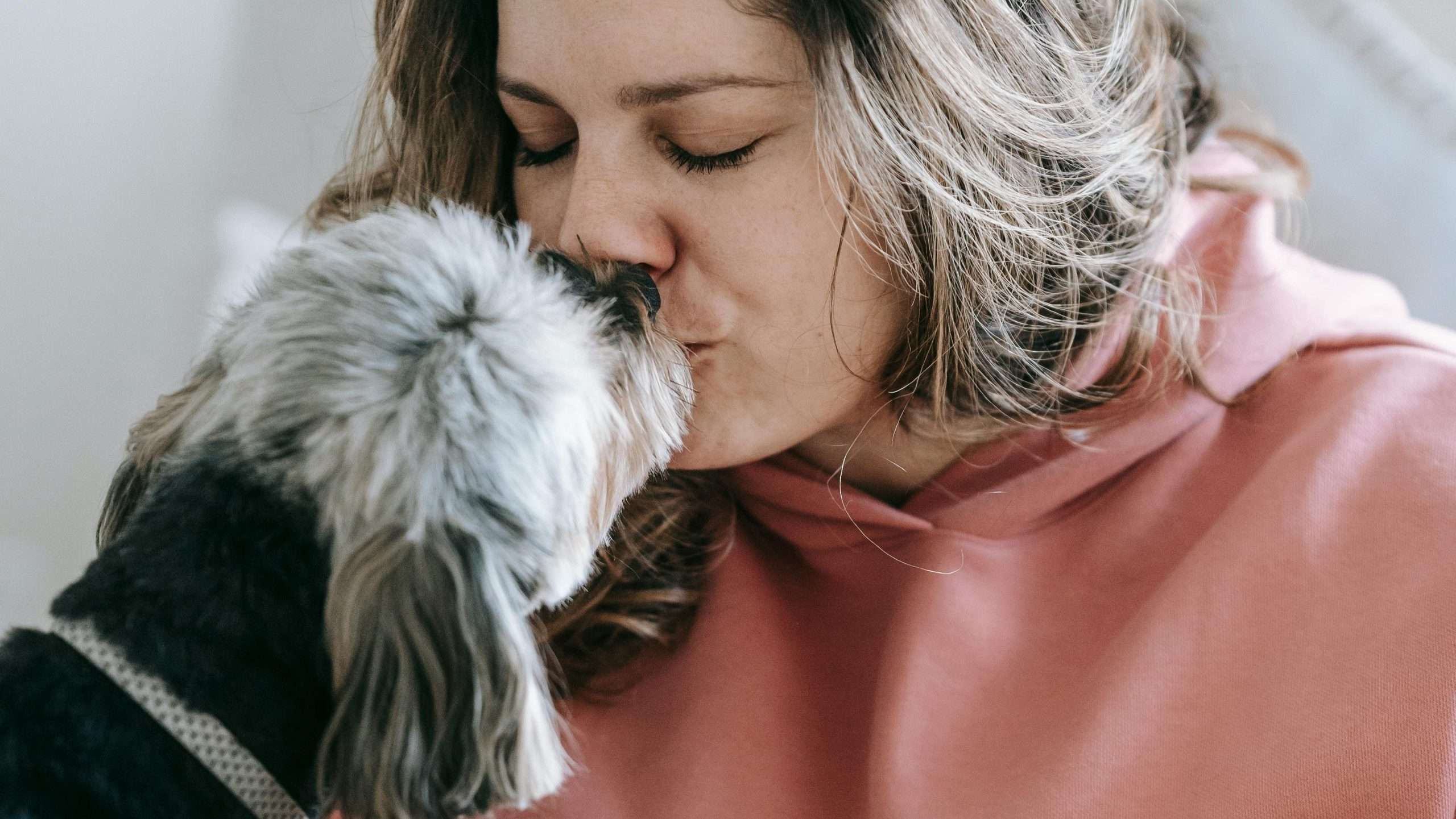 An image of a dog kissing its owner - how to teach your dog to kiss