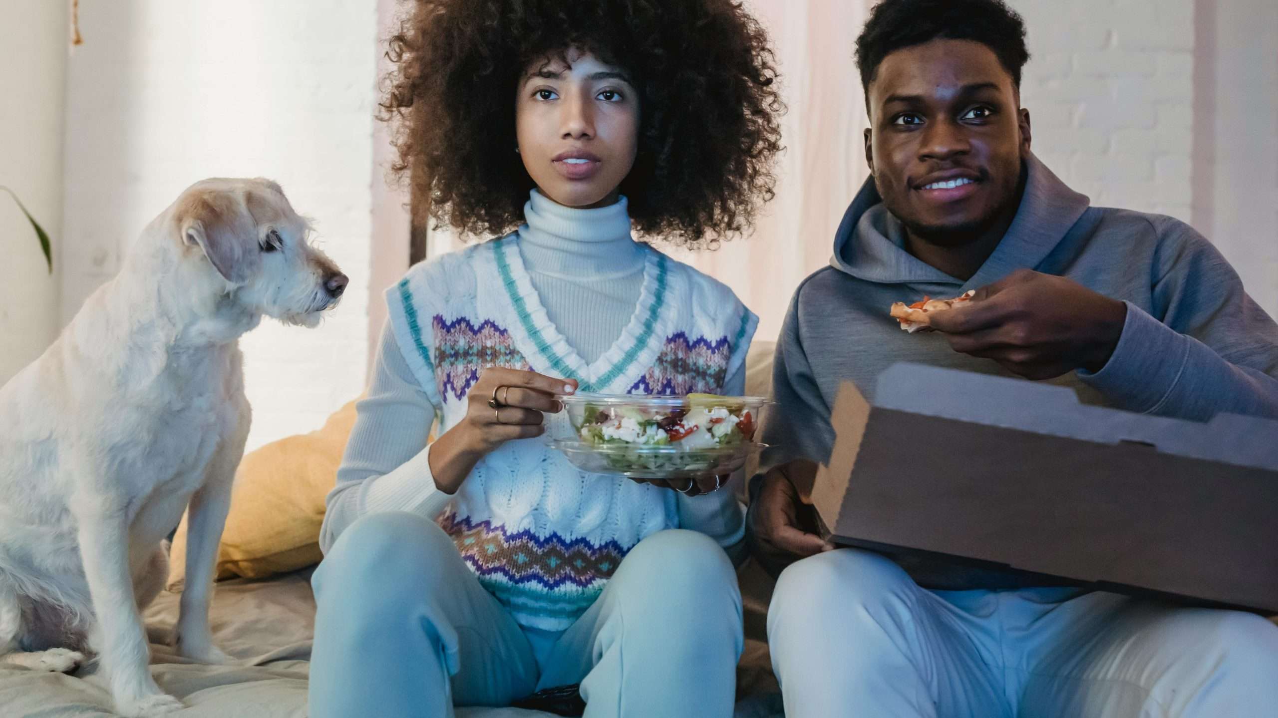 An image of a dog watching food