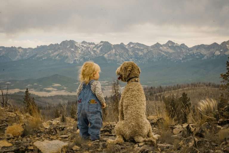 The Responsibility of Raising Kids and Dogs Together [2025]