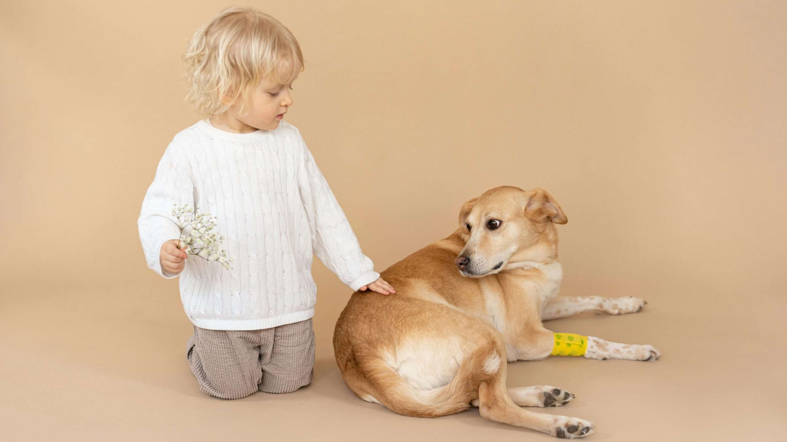 An image of a dog with a kid