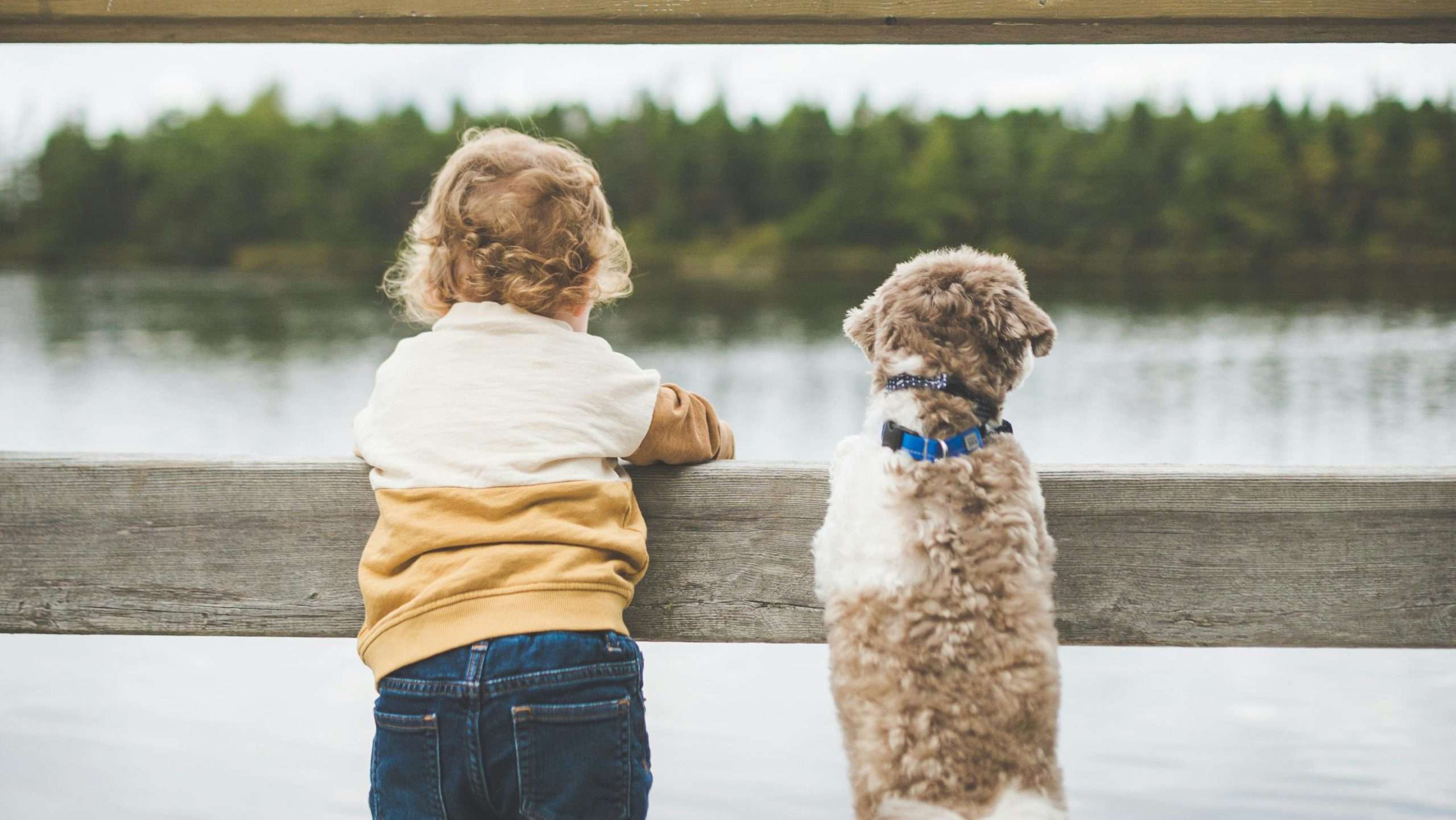 An image of a kid and dog standing together - kids and dogs