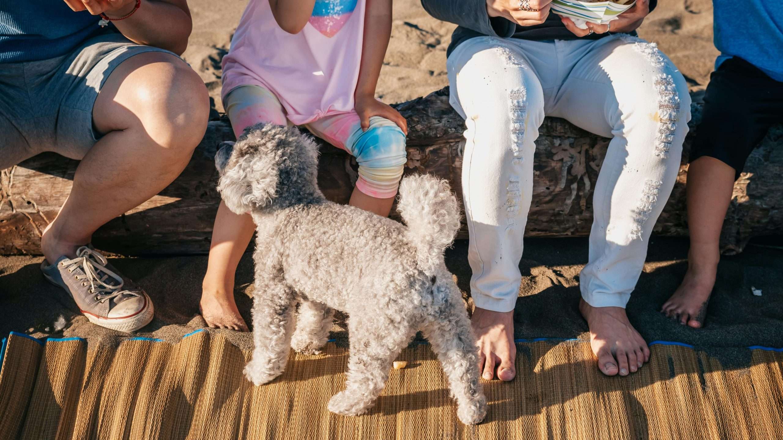 An image of a dog with kids eating food
