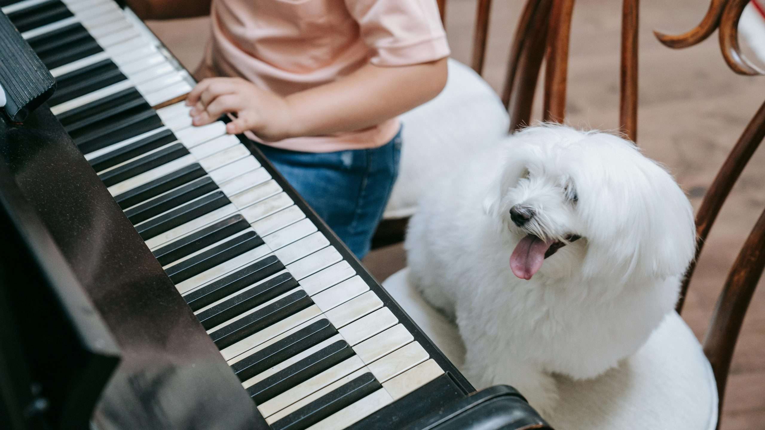 An image of a dog listening to music