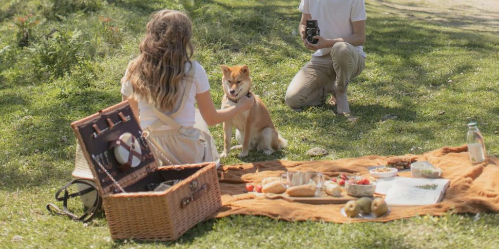 An image of a dog out on picnic