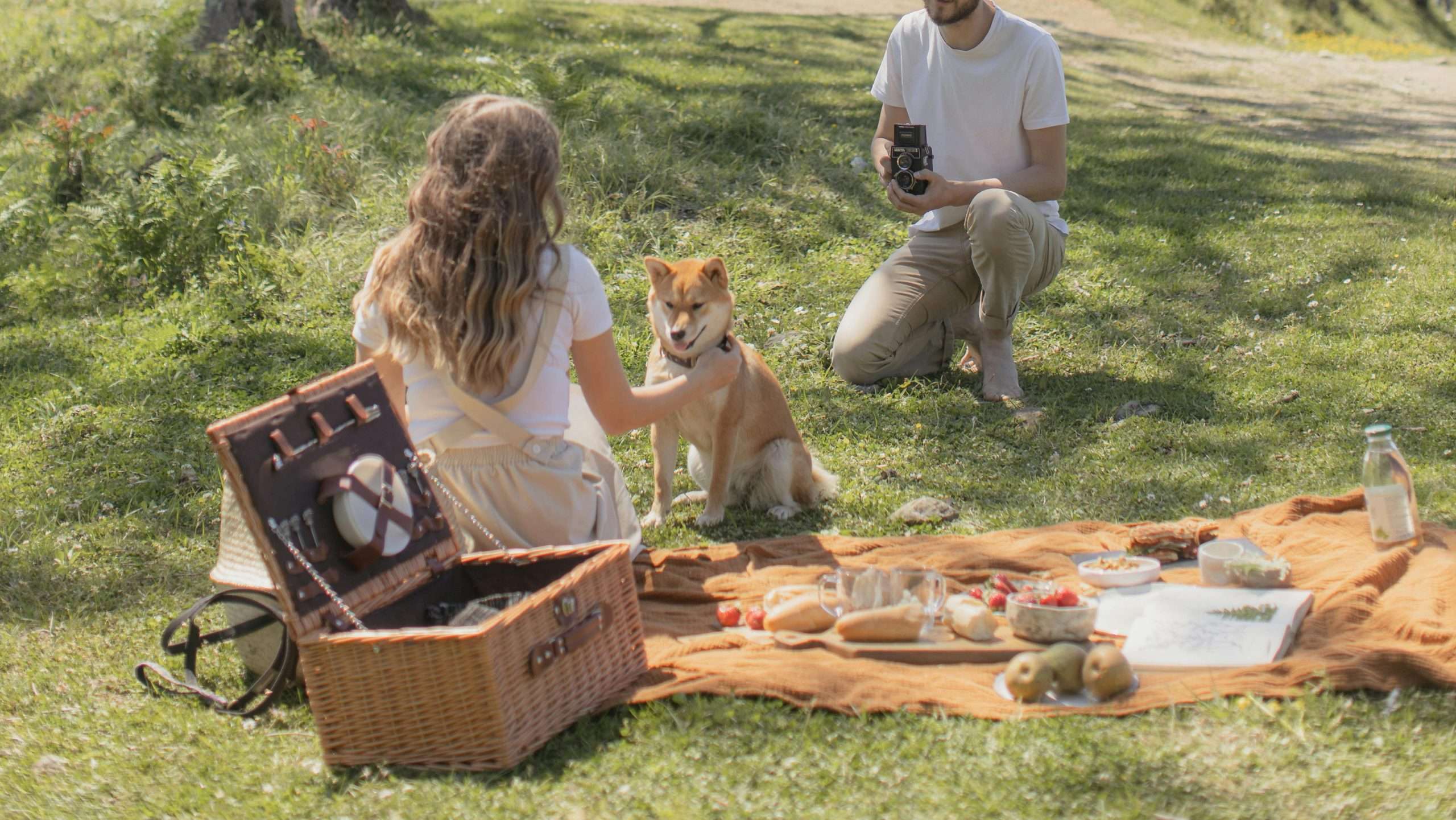 An image of a dog eating food 
