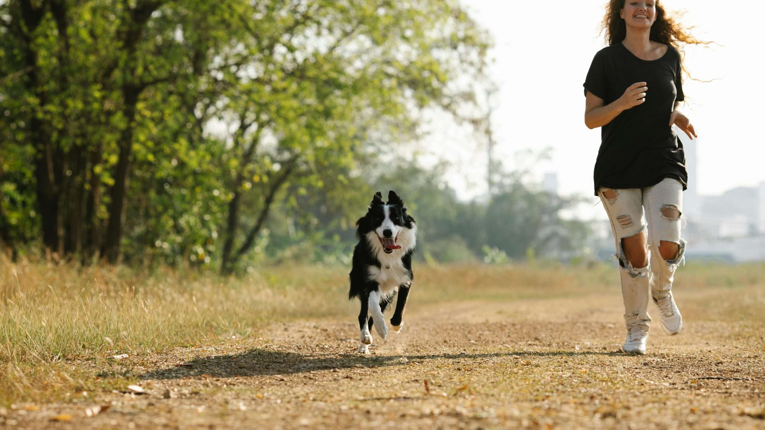 An image of a dog running besides its owner - do dogs sweat