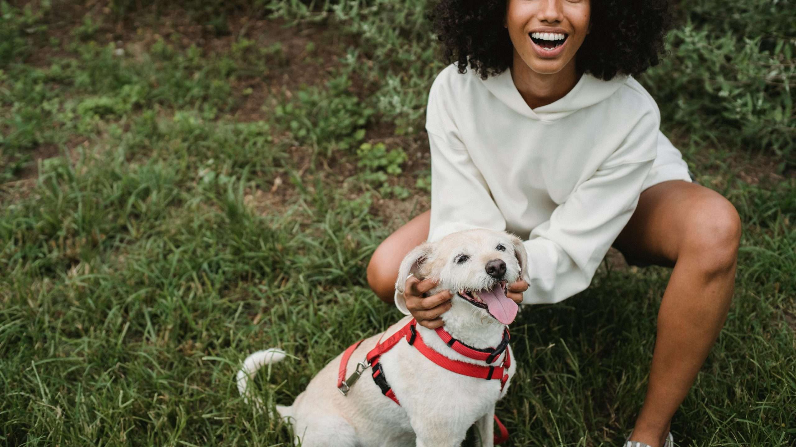An image of a dog with its owner - science of dog laughter