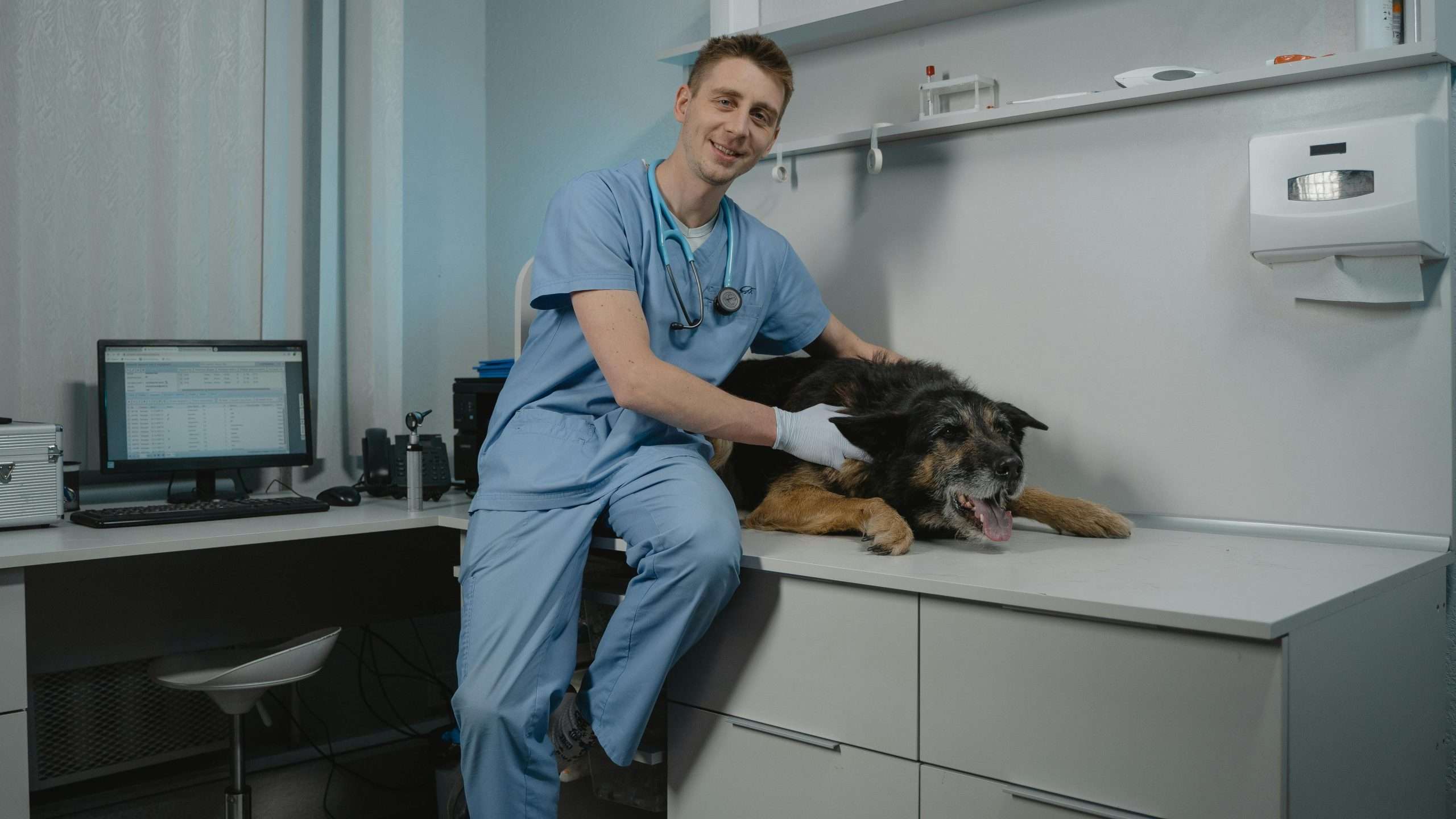 An image of a dog at the vet's