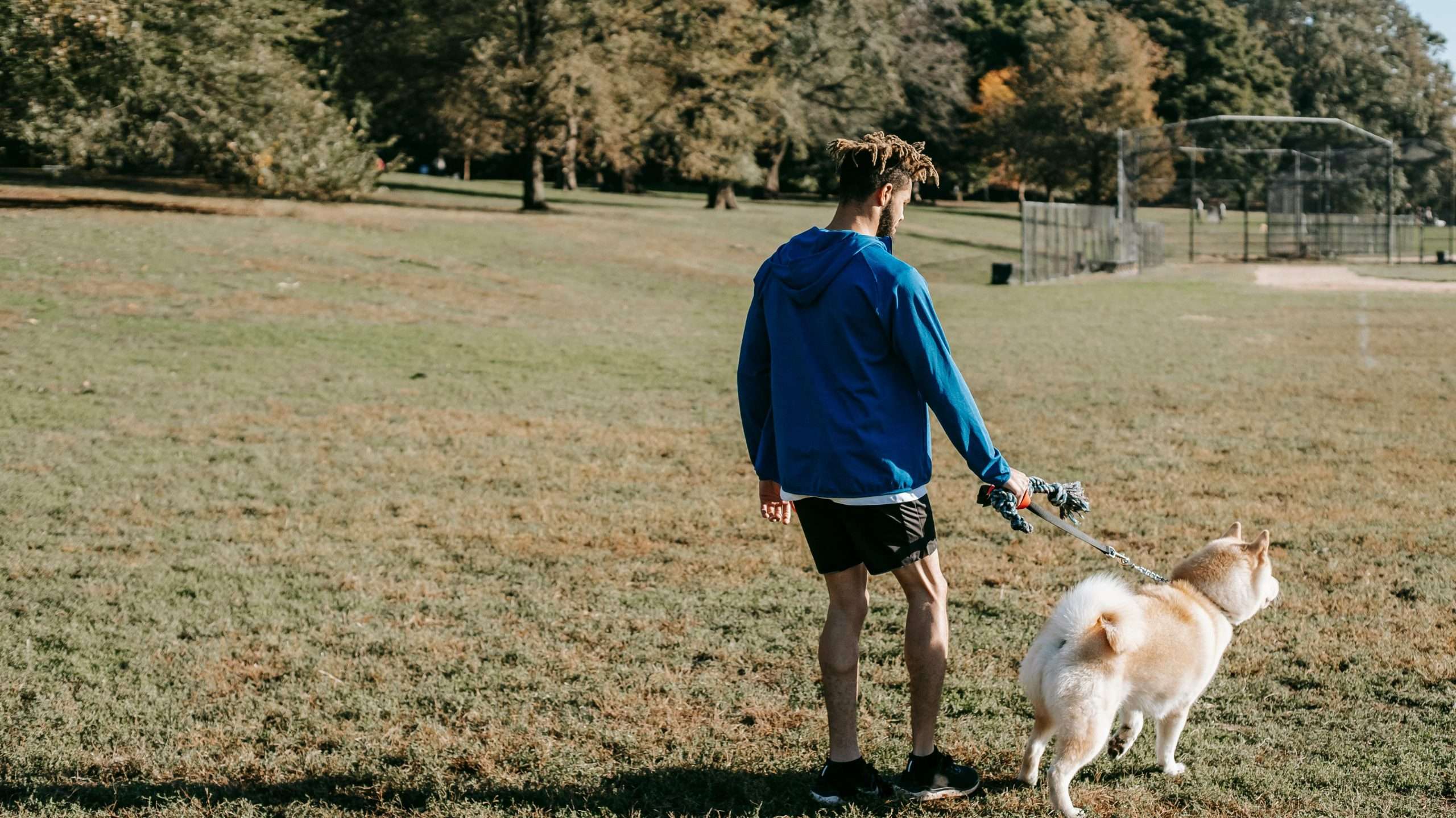 An image of a dog walking