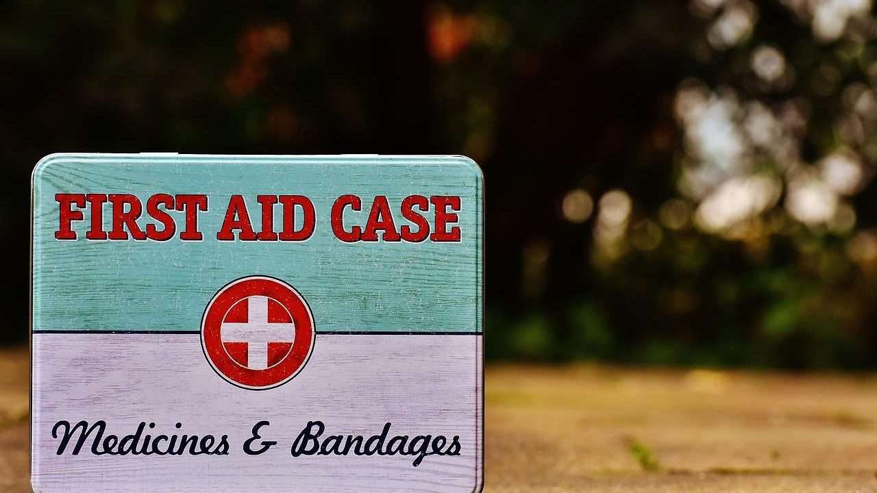 An image of a first aid kit - dog first-aid kit