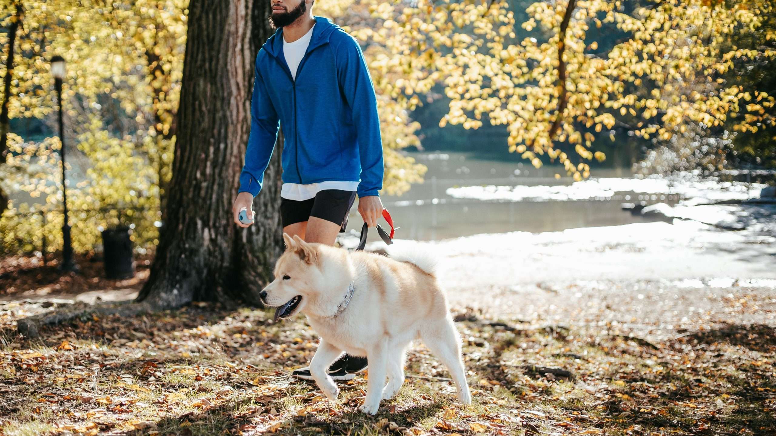 An image of a dog on a walk - climate affects dog care