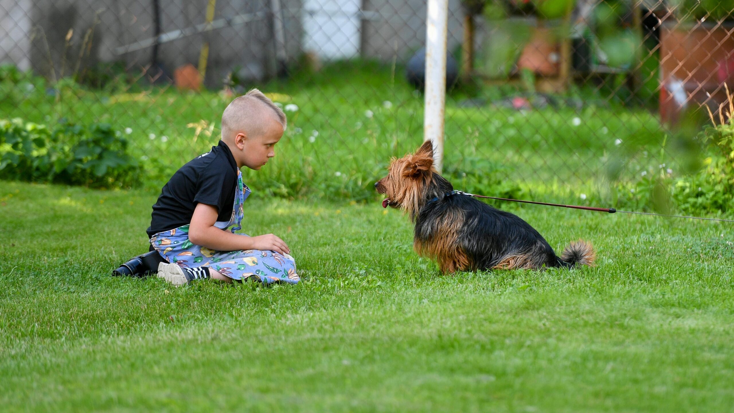 An image of a dog with its owner