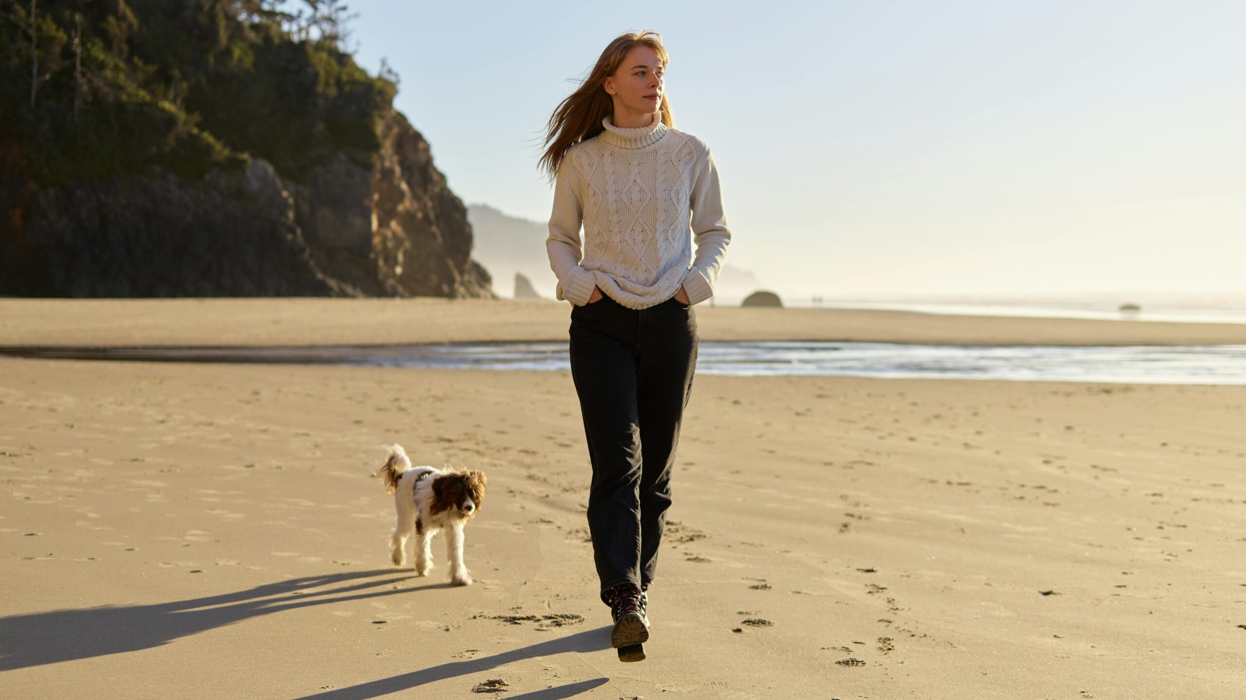 An image of dog with its owner - dog follows you