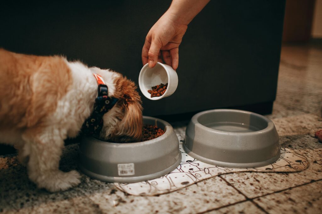 An image of kibble for smaller dogs