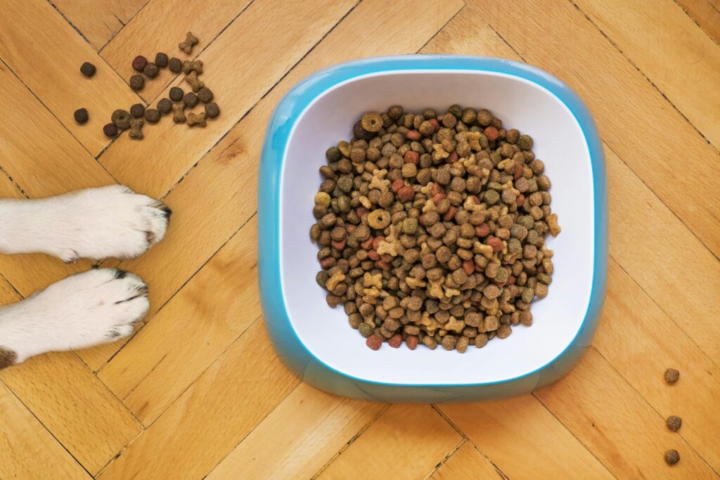 An image of kibble for smaller dogs